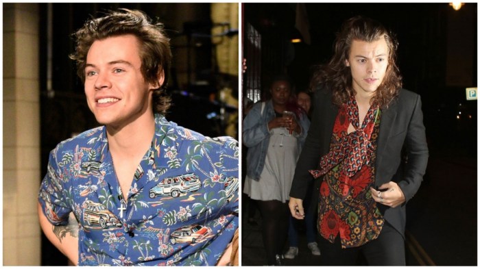 How to look and dress like harry styles